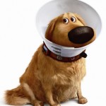 up_dug_cone