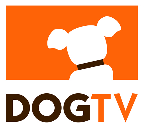 dog tv on sling