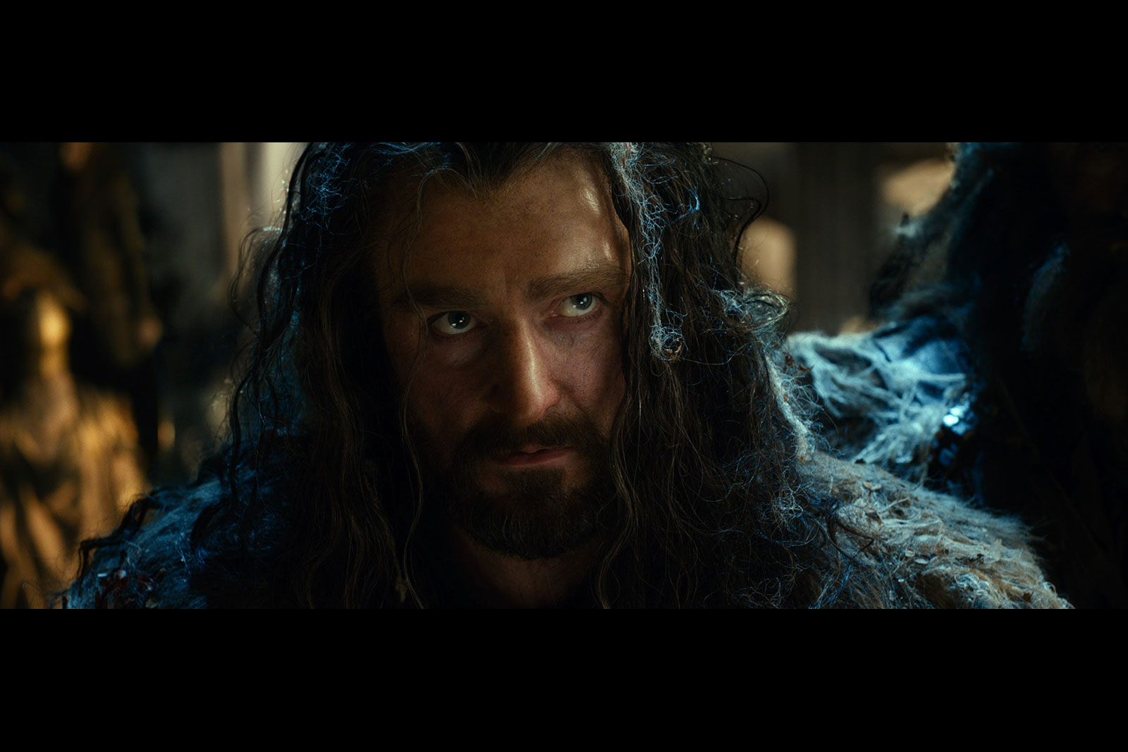 Richard Armitage Thorin Oakenshield The Hobbit The Desolation of Smaug ...
