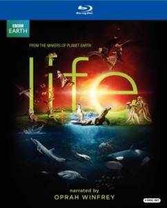LIFE-Blu-ray