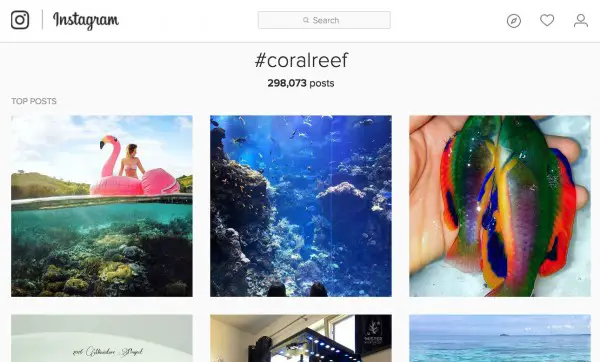 instagram-hashtage-coralreef