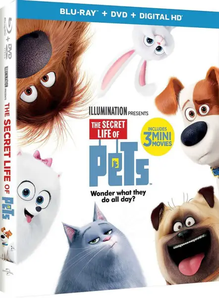 secret-life-of-pets-blu-ray-angle-600px