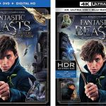 Ad-Fantastic-Beasts-Blu-ray-600px