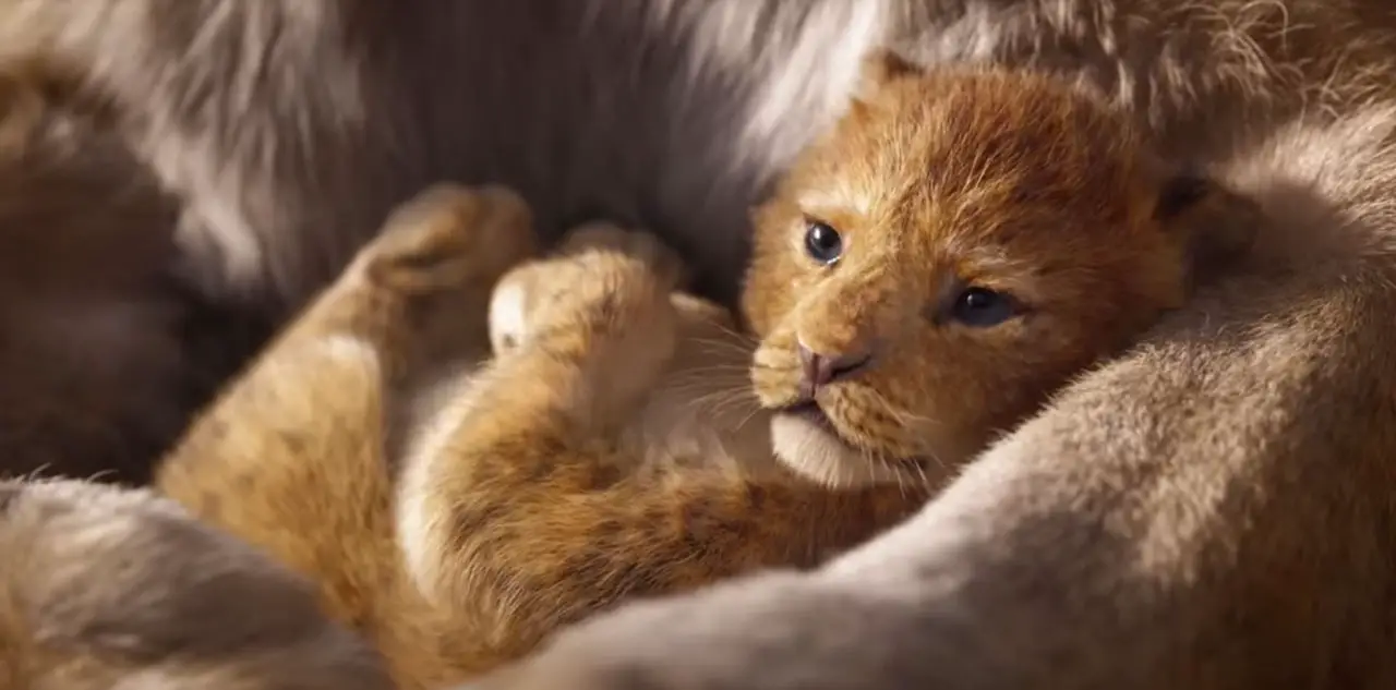 the-lion-king-2018-disney-live-action-still-1