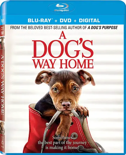 A-Dog's-Way-Home-Blu-ray-Combo-420px