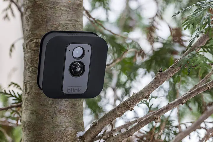 blink-home-security-tree-mount-720px