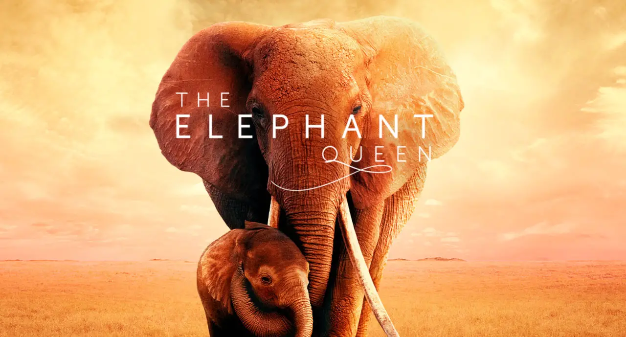 Apple TV+ Original "The Elephant Queen"