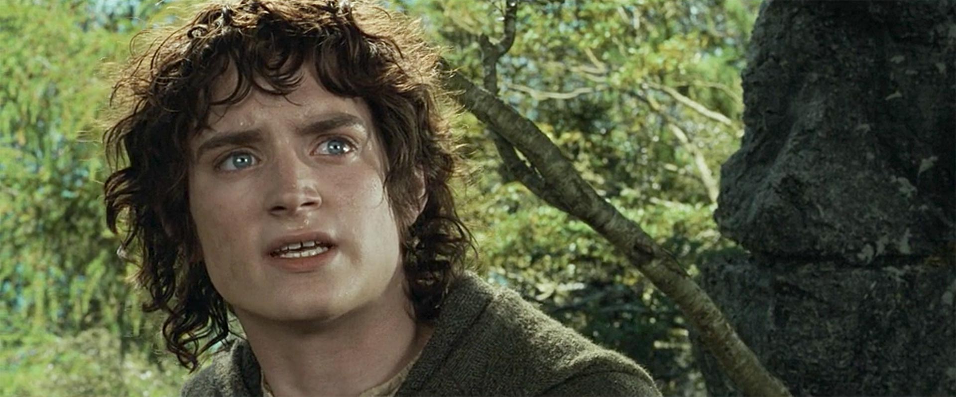the lord of the rings the fellowship of the ring 4k digital still
