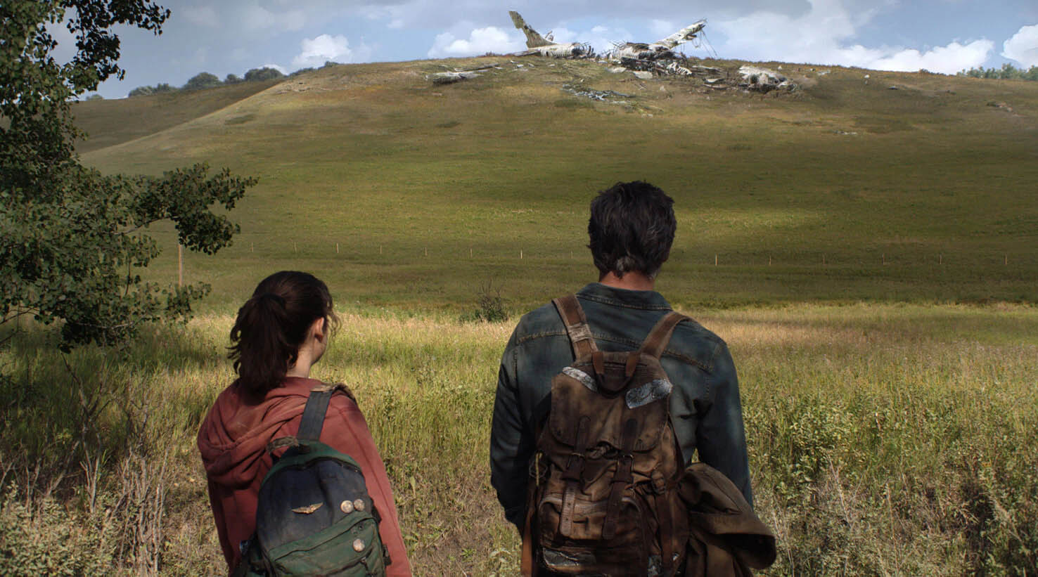 The Last of Us