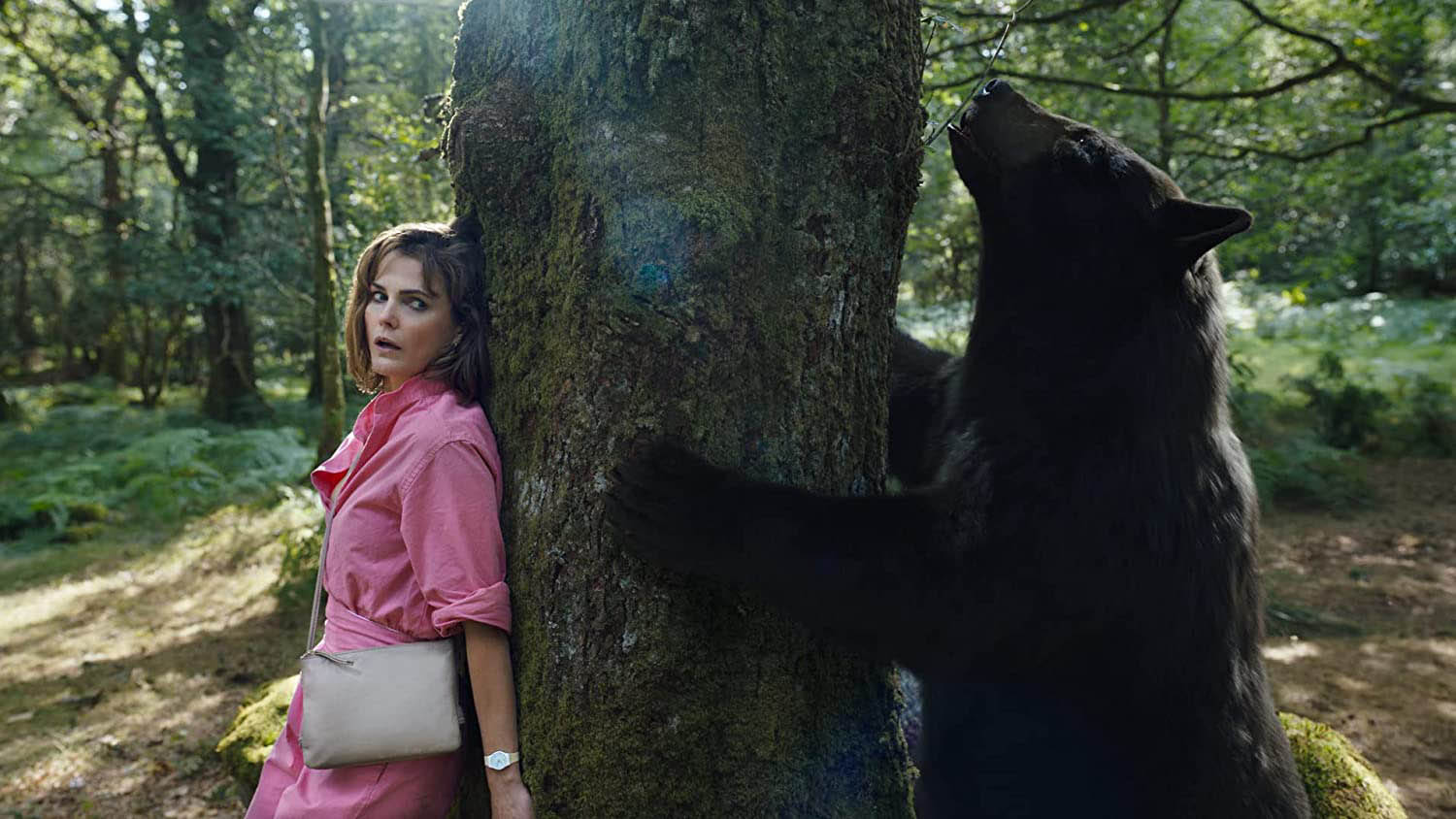 Cocaine Bear movie still 