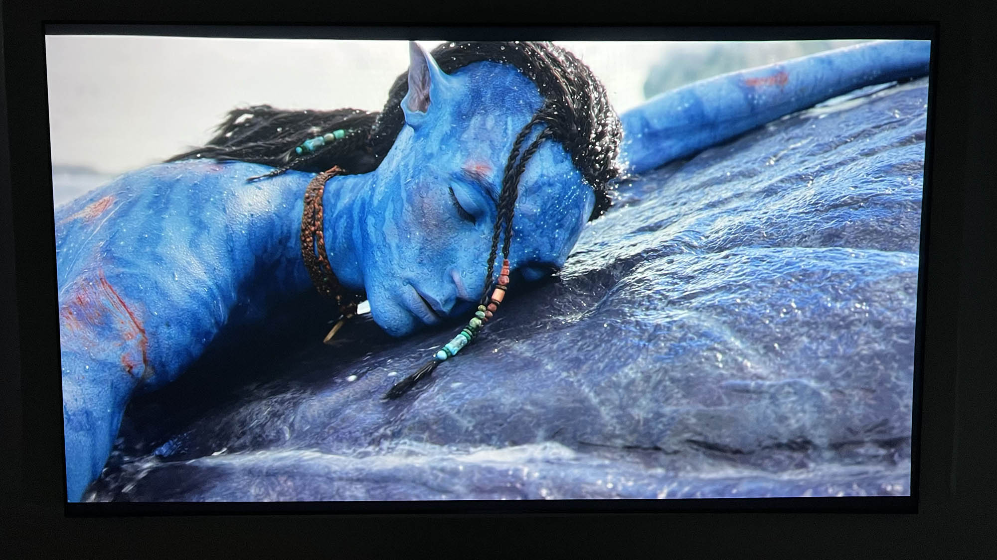 Avatar: The Way of Water playing in Digital 4K/HDR/Atmos on a Sony Bravia 4k TV with Dolby Vision