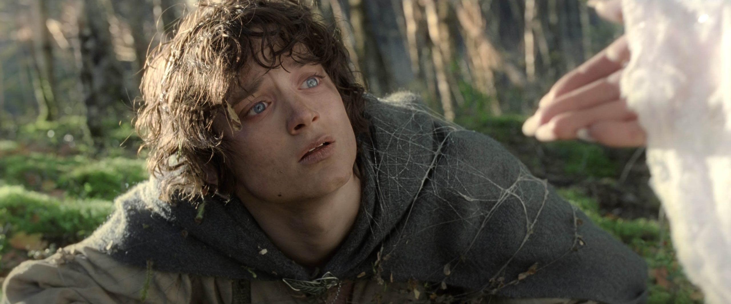 The Lord of the Rings: The Return of the King (2003)