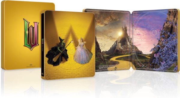 Wicked- For Good SteelBook Version 2