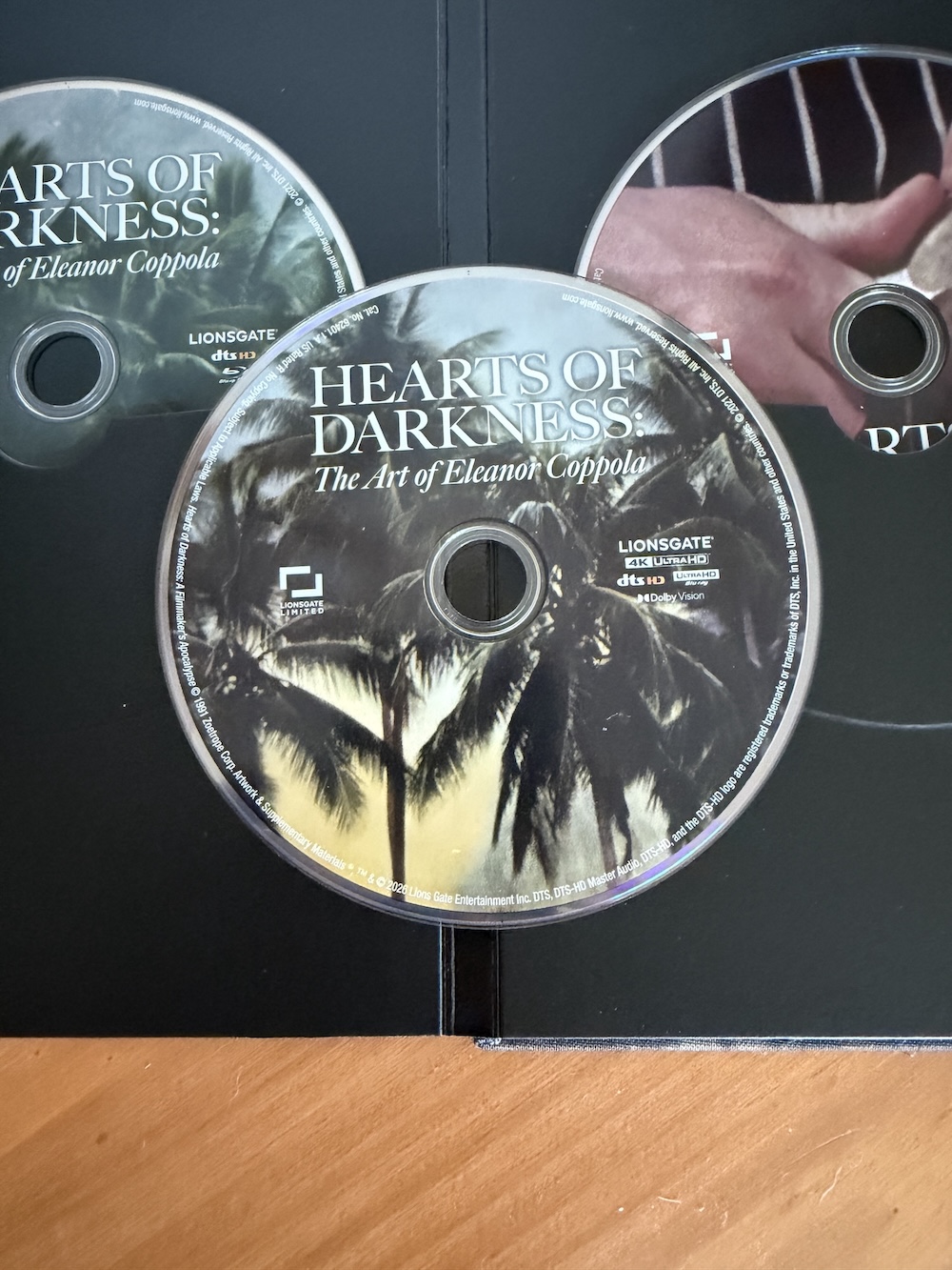 Hearts of Darkness - The Art of Eleanor Coppola photo review